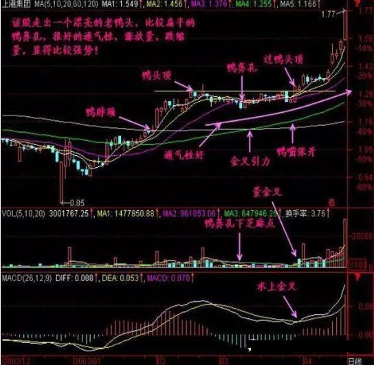 上港集团股票最新消息全面解析